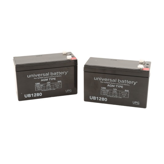 Magnetic AutoControl Battery Set for MicroDrive Battery Back-Up (accessories)