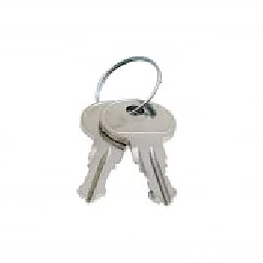 #19 Key (Set of 2) - Magnetic AutoControl GTS21