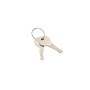 Magnetic Autocontrol Barrier Gate Opener Replacement #19 Key (Set of 2) - GTS21